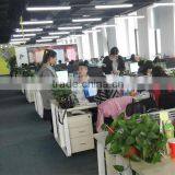 Shijiazhuang Haiju Import And Export Trade Co., Ltd. company overview - view 2 thumbnail