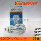 Energy Saving Lamp/4U/Lotus/17mm Bulb Diameter(Glowever) thumbnail-1