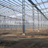 Large Span Steel Structure Workshop