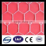 stainless steel hexagonal mesh/iron wire netting/sheep (chicken)wire mesh fence