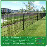 Glvanized and PVC Painted Twin Wire Mesh Panel Fencing thumbnail-1