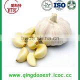 Fresh Garlic With Good Price New Fresh Normal White Garlic thumbnail-5