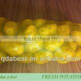 Fresh Holland Potato thumbnail-5