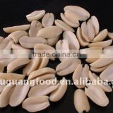 long type blanched peanuts 29/33 tasty is very good