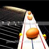 High Quality Galvanised Steel Wire Layer Chicken Cage for Sale thumbnail-3