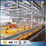 30 Years' Factory Supply Automatic Chicken Feeding System thumbnail-5