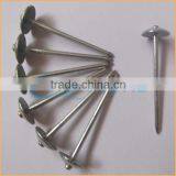 Top Quality Roofing Nail for Asphalt Shingles Trusted Chuanghe Suppliers From Com thumbnail-1