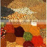 4 Head Linear Weigher Packing Machine thumbnail-3