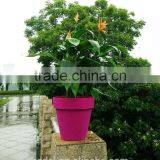Large Size Plastic Planter Pot Paint Design New Products thumbnail-4