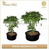 Durable High Quality Felt Root Tree Planting Bag Supplier,nursery Grow Bag thumbnail-3