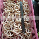 Frozen Squid Ring With Chemical Treated and Skin off thumbnail-3