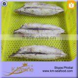 China Professional Tuna Loin Buyer thumbnail-2
