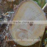 Long Wooden Handle Garden Saw thumbnail-5