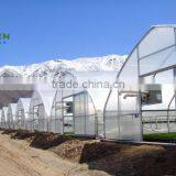 Various Agricultural Multi Span Polycarbonate Greenhouse thumbnail-3