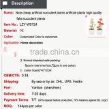 Nice Cheap Artificial Mini Succulent Plants Artificial Plants High Quality Fake Succulent Plants thumbnail-2