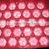 Factory Directly Eco-friendly Colorful PP Plastic Thermal Food Container thumbnail-5