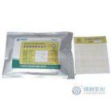 FilmplateTM Mold & Yeast Count Plate