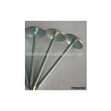 Roofing Nail thumbnail-1