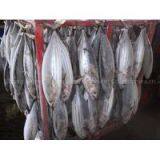 Supply Skipjack Tuna thumbnail-2