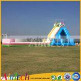 China Cheap Inflatable Giant Slide for Sale