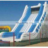 Top Designs Popular Inflatable Slide for Kids , Giant Fancy Inflatable Slide for Commercial