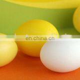 Egg Shaker thumbnail-2