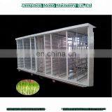 High Speed Large Capacity Soya Sprout Machine for Sale thumbnail-1