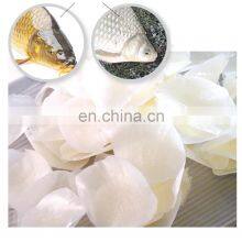 Dried Fish Scale From Vietnam / Fish Scale for Collagen thumbnail-1