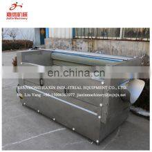 Factory Directly Supply Fruit and Root Vegetable Peeling Equipment thumbnail-5
