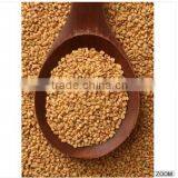 Fenugreek Seeds thumbnail-1