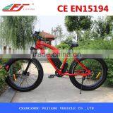 FJ-TDE07, Selfdesign Light Electric Bike 500 Watts thumbnail-5