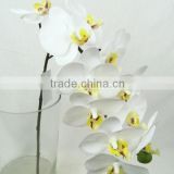 artificial flower factory wholesale real touch flowers                        
                                                Quality Choice