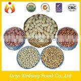 Chinese Best Selling Products New Raw Peanuts Peanut Package Price