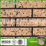 Wall Paint thumbnail-1