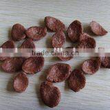 Breakfast Cereals Extruder