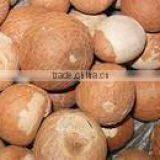 Cashew Nuts,Pistachio Nuts,Walnuts, Almond Nuts Available for Sale thumbnail-1