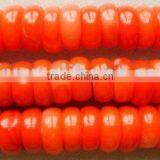 red coral beads, sea bamboo coral beads, exclusive supply