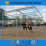 40mm Square Pipe Cattle Yard Panels