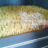Bean Sprout Making Machine,soya Bean ,mung Bean ,black Bean