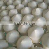 Young Coconut thumbnail-1