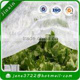 Greenhouse Plant Container, Small Vegetable Nonwoven Fabric Cover in 100% Polypropylene thumbnail-2