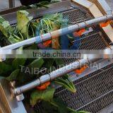 Fruit Processing Machinery Apple Washing Machine thumbnail-6
