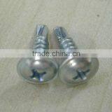 Carbon Steel Screw Fastener thumbnail-1
