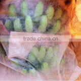 China Nonwoven Fabric Supplied by Manufacturer for Packing Grapes and Banana thumbnail-5