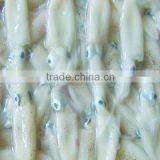 Frozen Squid(Loligo Chinese) 3/6cm thumbnail-1