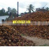 Coconut Charcoal thumbnail-4