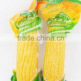 High Quality Sweet Corn Cob in Vacuum Wholesale Snack Foods thumbnail-6