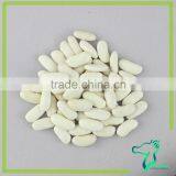 2016 White Beans Long Shape Low Price New Arrival thumbnail-2