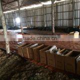 Good Charcoal BBQ thumbnail-5