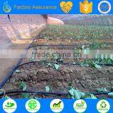 green house drip irrigation system saving water